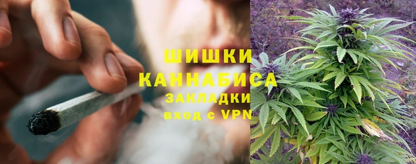 метадон Ладушкин