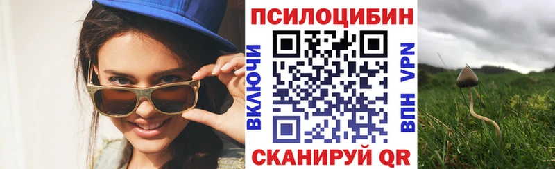 закладки  Майский  Галлюциногенные грибы прущие грибы 
